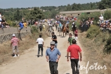 Foto 3 - Accidentado primer encierro con novillos de Chaves y que deja tres heridos