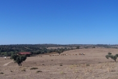 Foto 4 - Medio centenar de senderistas disfrutan de los paisajes del Yeltes