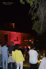 Foto 3 - Broche de oro de Etnohelmántica con el acordeonista Raúl Díaz 