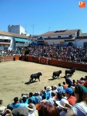 Foto 5 - Multitudinario y bonito segundo encierro con erales de Espioja
