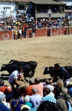 Foto 4 - Multitudinario y bonito segundo encierro con erales de Espioja
