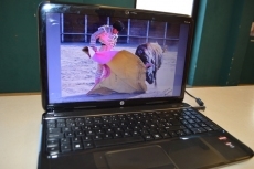 Foto 3 - Manu Hierro expone una selección de su obra fotográfica vinculada a la vida rural de la comarca