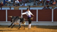 Foto 5 - Espectaculares piruetas protagonizan el Certamen Goyesco de Recortes en La Florida