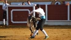 Foto 4 - Espectaculares piruetas protagonizan el Certamen Goyesco de Recortes en La Florida