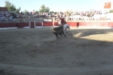 Foto 5 - Demostraci&oacute;n de buen hacer en el Festival Taurino mixto en los festejos de San Bartolo