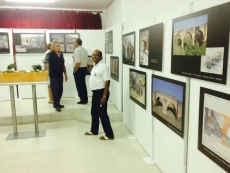 Foto 5 - La muestra ‘Los ojos del agua’ y Mayalde, principio y fin de las Noches de Cultura