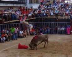 Voltereta de Iván González en la novillada del martes y donde cortó una oreja a este jabonero