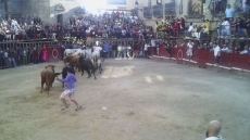 Foto 3 - Rápido y sin incidentes el tercer encierro de San ‘Bartolo’