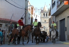 Foto 4 - Rápido, limpio y emocionado último encierro de las Fiestas del Toro