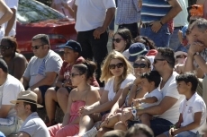 Los astados hacen poco caso a los caballos en el encierro