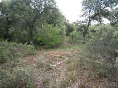 Denuncian que ni Administraci&oacute;n, ni Justicia quieren saber nada de los desaparecidos en el monte...