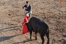 Vecinos y forasteros se lo pasan en grande en los eventos taurinos de las fiestas