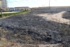 Foto 2 - Un incendio calcina el entorno del Barrio de la Rana