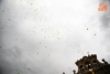 Foto 2 - Suelta de Globos en la Plaza Mayor por los enfermos de Alzheimer