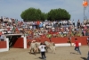 Foto 2 - Vibrante primer encierro de las fiestas con bonitos novillos de Espioja