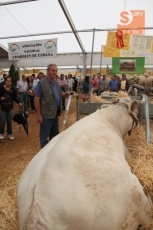 Foto 6 - Rubén García, ganadero de charolés: "Los premios del concurso significan que estamos haciendo...