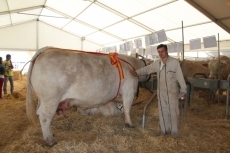 Ángel Santiago García, junto a la campeona de la raza, 'Bigorre'