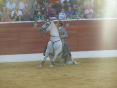 Foto 4 - Oscar Mota, tres orejas en Villoria