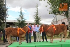 Foto 6 - Homenaje a los mejores ejemplares del concurso de limusín