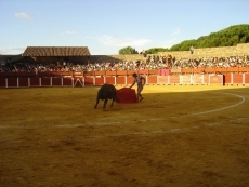 Foto 6 - Puerta grande para Juan Diego y Gallo con susto para Dami&aacute;n Casta&ntilde;o 