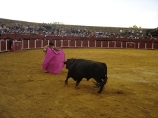 Foto 5 - Puerta grande para Juan Diego y Gallo con susto para Dami&aacute;n Casta&ntilde;o 