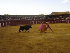 Foto 3 - Puerta grande para Juan Diego y Gallo con susto para Dami&aacute;n Casta&ntilde;o 
