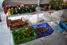 Foto 4 - Concurrida fiesta del tomate en el Centro Social Aldea