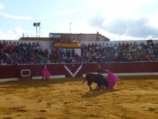 Foto 4 - Apoteosis en Villoria con Jesulín de Ubrique y Cordobés