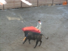 Foto 4 - Música para arropar a la Virgen del Rosario durante los actos religiosos