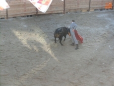 Foto 3 - Música para arropar a la Virgen del Rosario durante los actos religiosos