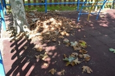 Foto 5 - Un otoño adelantado junto al habitual olvido