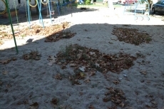 Foto 4 - Un otoño adelantado junto al habitual olvido