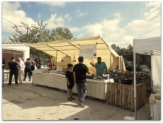 Foto 5 - La Feria de los Peregrinos regresa a los parajes de El Casarito