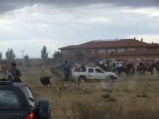 Foto 5 - Cientos de vehículos y decenas de caballos se dan cita en el encierro campero
