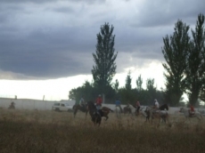 Foto 3 - Cientos de vehículos y decenas de caballos se dan cita en el encierro campero