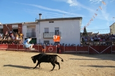 Foto 5 - Las peñas dicen adiós a las fiestas con un vistoso festejo y la actuación de copla de Antonio...