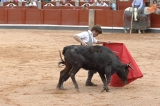 Foto 6 - Delirio en la Glorieta con &lsquo;El Juli&rsquo; 