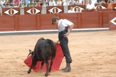 Foto 4 - Delirio en la Glorieta con &lsquo;El Juli&rsquo; 
