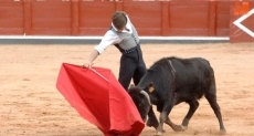 Foto 3 - Delirio en la Glorieta con &lsquo;El Juli&rsquo; 