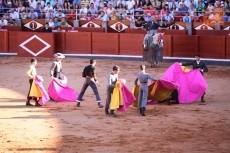 Foto 6 - El futuro de la Escuela Taurina de Salamanca pide paso