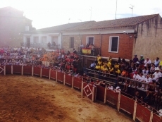 Foto 6 - Iván González corta cuatro orejas a dos novillos de Rollanejo en Barruecopardo