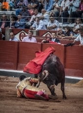 Foto 6 - El medio pecho y el medio pie