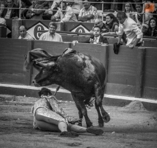 Foto 5 - El medio pecho y el medio pie