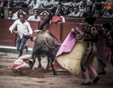 Foto 4 - El medio pecho y el medio pie