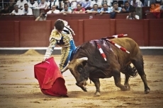 Foto 4 - De la épica a la lírica con notas de Chopin