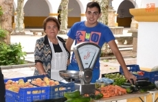 Foto 3 - 1Foto: El Mercado de los Martes, a cubierto