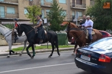 Foto 5 - El sol acompaña la mañana del sábado de Feria tras una lluviosa madrugada