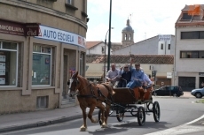 Foto 3 - El sol acompaña la mañana del sábado de Feria tras una lluviosa madrugada