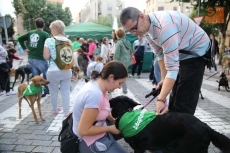 Foto 4 - Un paseo cívico para promover la adopción de perros abandonados
