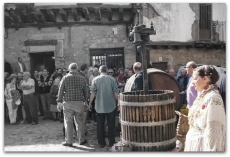 Foto 4 - La vendimia como apuesta de futuro